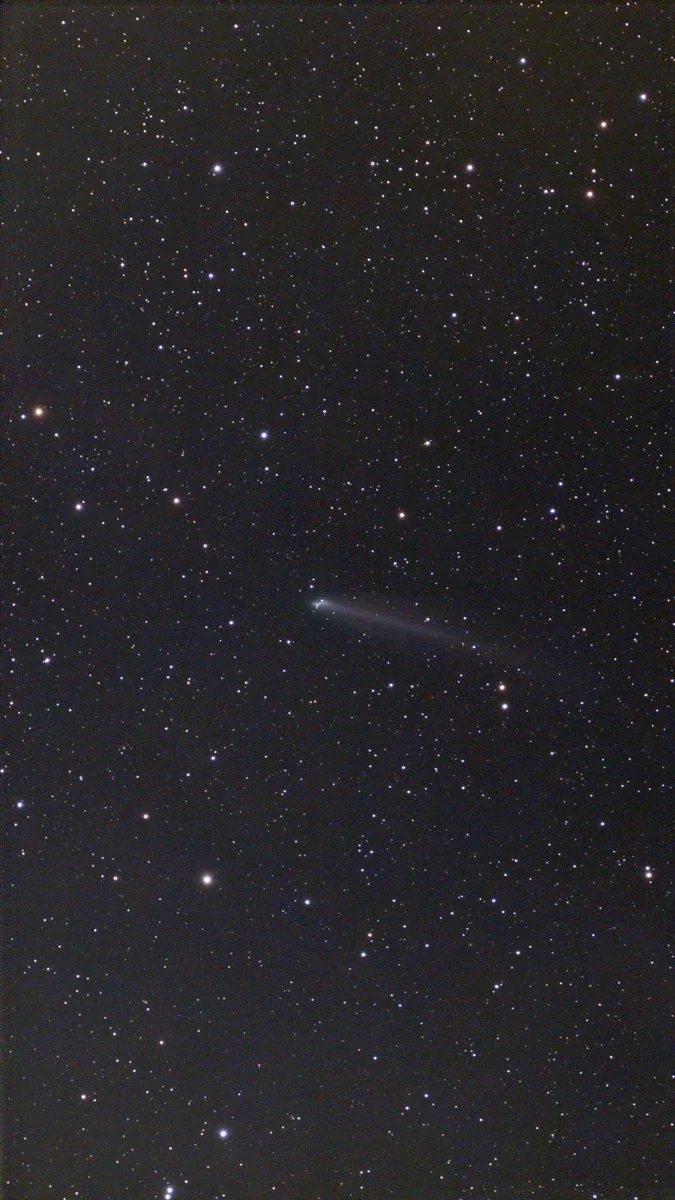 220PMcNaught