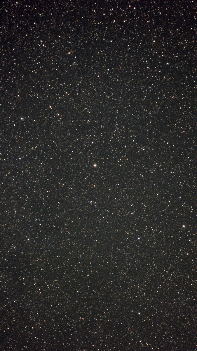 Phi Cygni