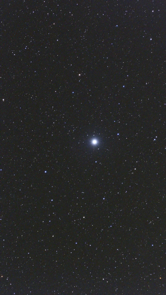 Vega