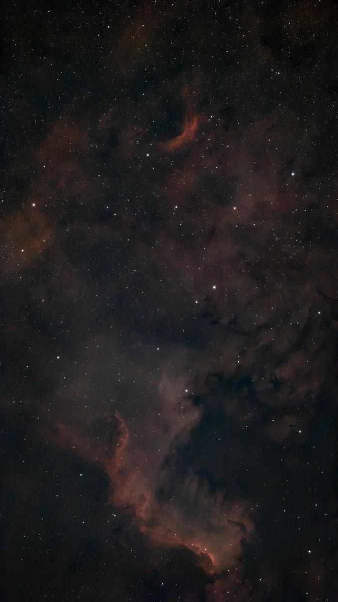 NGC 7000